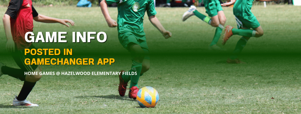 GAME INFO - Check the app