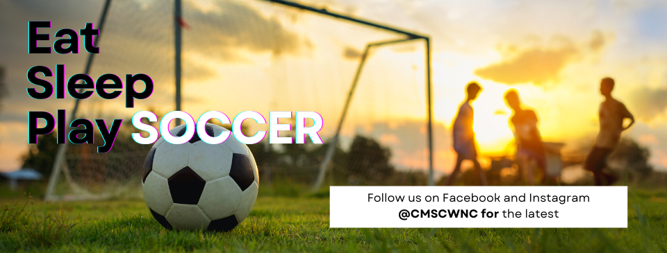 FOLLOW US